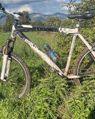 Bicicletta