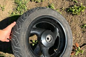 Cerchio posteriore F12