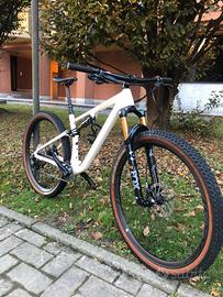 Specialized epic evo