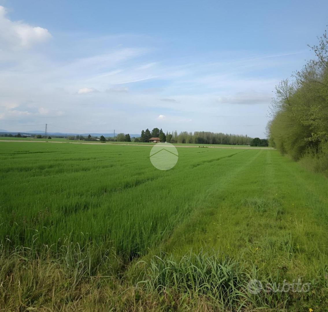 TER. AGRICOLO A URGNANO - Vista 4