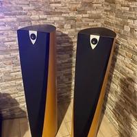 Casse/ diffusori a torre focal 918 profile