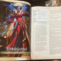 D&D Dungeons & Dragons manuale giocatore 5.5 [ita]