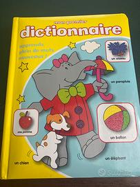 Dizionario di francese