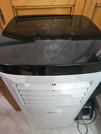 climatizzatore portatile 