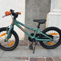 Bici Scott Roxter 16