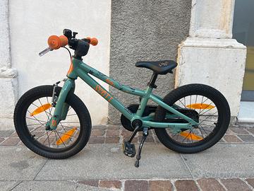 Bici Scott Roxter 16