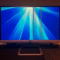 Monitor HP 22” con difetto display
