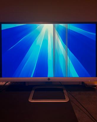 Monitor HP 22” con difetto display