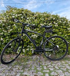 Bici da trekking