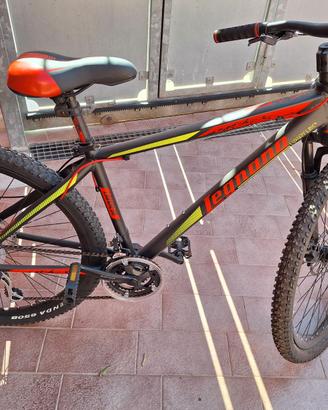 mountain bike