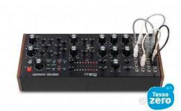 Moog Labyrinth TASSO E SPESE ZERO 20 MESI