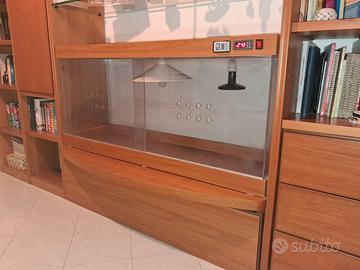 Terrario XL per tartarughe