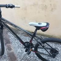 Bici da ragazzo 24 " LOMBARDO