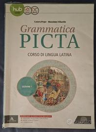 Libro 9788828619536, GRAMMATICA PICTA LEZIONI 1