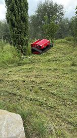 Rasaerba Trincia Telecomandato Cingolato