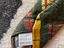 Immagine 6