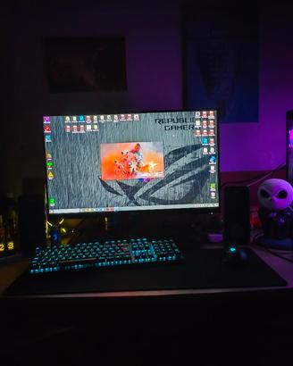 Monitor 
