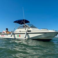 Boston whaler revenge 22