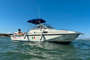 Boston whaler revenge 22