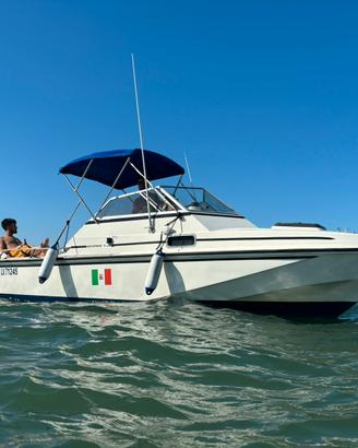 Boston whaler revenge 22