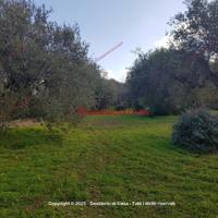 Terreno, Termini Imerese.