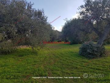 Terreno, Termini Imerese.