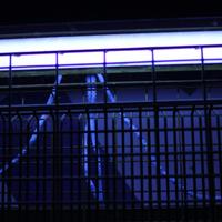 Zanzariera Elettrica