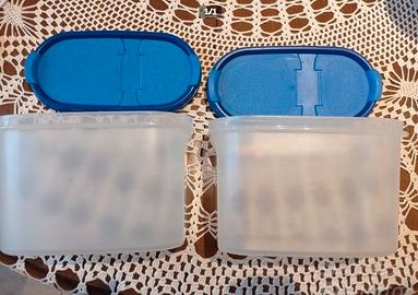 n. 2 contenitori Tupperware originali per dispensa