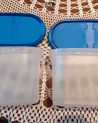 n. 2 contenitori Tupperware originali per dispensa