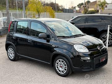 Fiat Panda 1.0 FireFly S&S Hybrid Pandina 2024