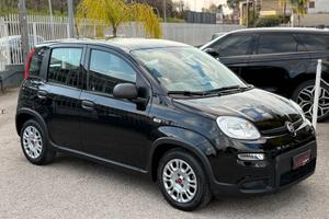 Fiat Panda 1.0 FireFly S&S Hybrid Pandina 2024