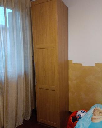 Armadio IKEA PAX con anta BERGSBO – 50×58×236 cm
