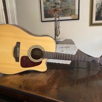 Chitarra Takamine G Series