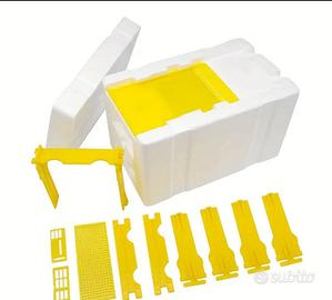 Arnie di fecondazione apidea allevamento regine