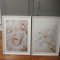 Stampe floreali primaverili, con cornice. 50x70