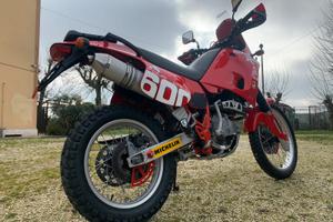 RC 600 Cobra