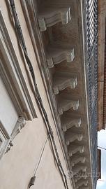 Ampio centralissimo esavani