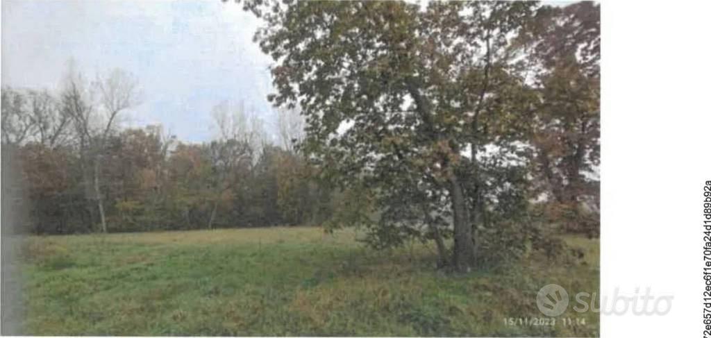 Immobile in asta di 204 m² a Robecchetto con Indun - Vista 4