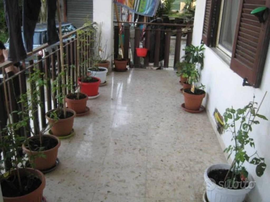 Appartamento – Ceccano, Frosinone - Vista 4