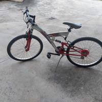 Bicicletta