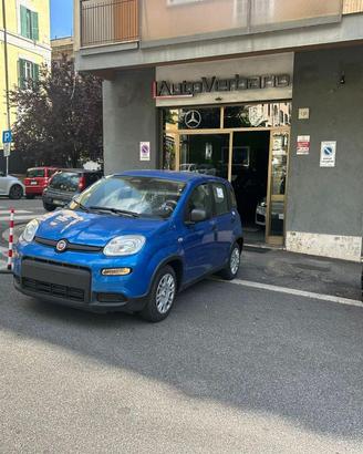 FIAT Panda 1.0 FireFly Hybrid -Pandina Nuovo Mod