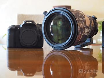Canon 80D Kit + Sigma 150-600 5.0-6.3 Sport