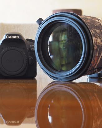 Canon 80D Kit + Sigma 150-600 5.0-6.3 Sport