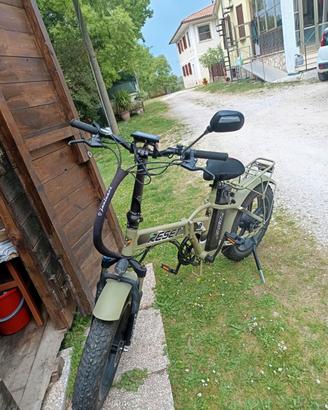 Bici Elettrica