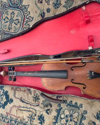 Violino