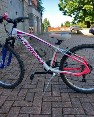 Bicicletta bambina