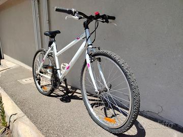 Mountain bike - anno 2010