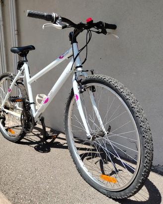 Mountain bike - anno 2010