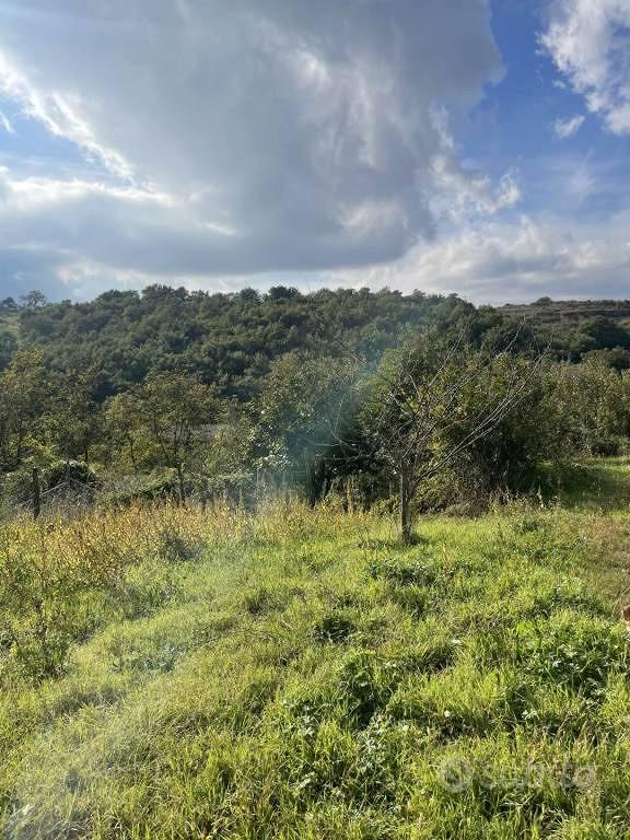 Rustico / Casale di 40 m² con 2 locali a Tuscania - Vista 4