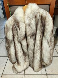 Volpe della Groenlandia